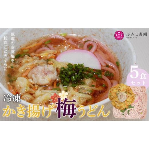 ふるさと納税 和歌山県 有田川町 冷凍　かき揚げ梅うどん５食