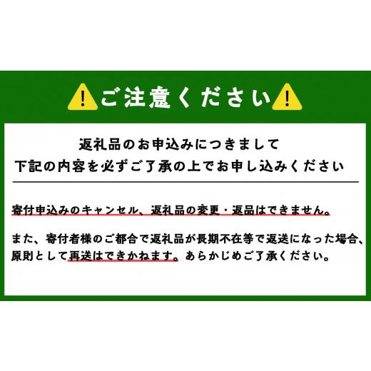 ふるさと納税 北海道 余市町 もぎたて直送 さくらんぼ 佐藤錦 1kg箱(北海道余市町産)