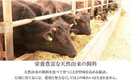 76-66新潟県産牛（長岡産） サーロイン1ポンドステーキ