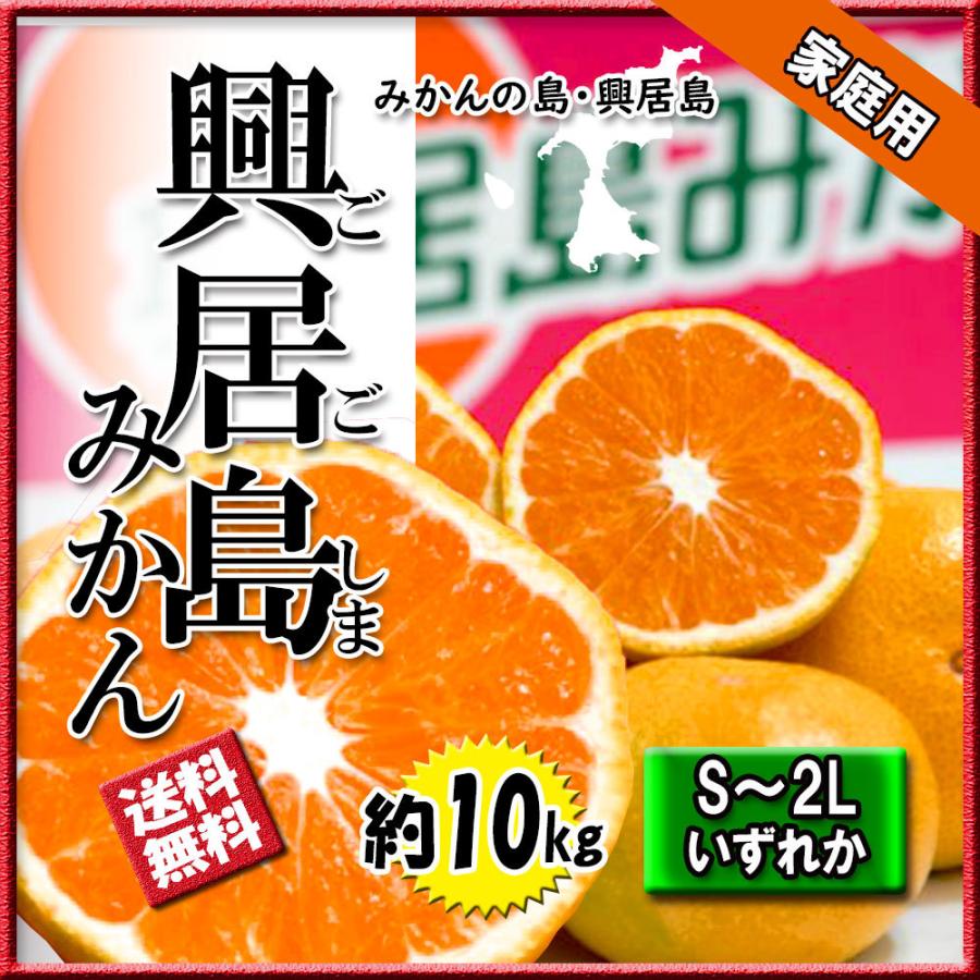 みかん 箱買い 興居島みかん 興居島 みかんの島 2S〜2L 家庭用 約10ｋｇ 送料無料 愛媛みかん