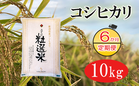 新潟産コシヒカリ精米10kg真空パック（6か月定期配送） 米 定期便 6ヶ月 コシヒカリ 精米 白米 コメ こめ お米 おこめ 10kg こしひかり ご飯 ごはん 6回 お楽しみ 新潟