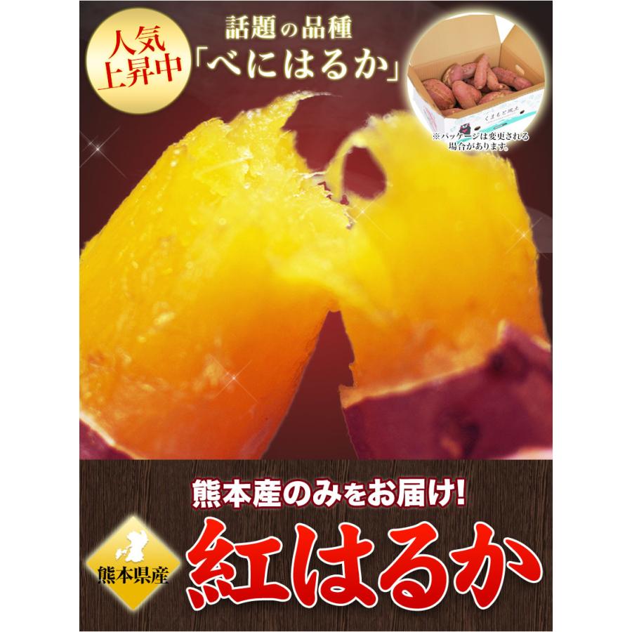 販売解禁 さつまいも 紅はるか べにはるか 1.5kg 送料無料 芋 熊本県産 スイーツ お取り寄せ 12月上旬-12月末頃より発送予定