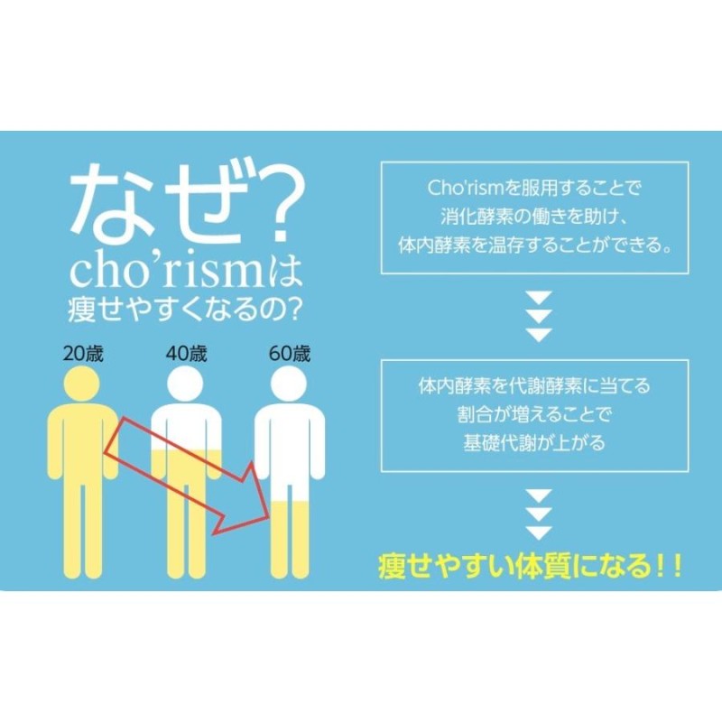 腸活サプリ 腸活 ダイエット 乳酸菌 cho'rism 30包入 1ヶ月分 腸リズム