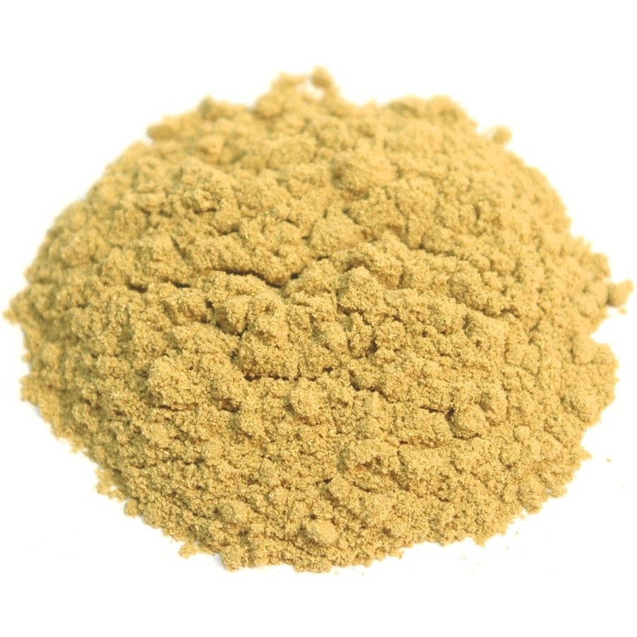 フェンネルパウダー 100g 粉末 アメ横 大津屋 スパイス ハーブ fennel ウイキョウ 茴香 フェンネル パウダー ソーンフ ソーフ スパイス  カレー カレー粉 香辛料 | LINEショッピング
