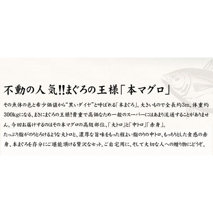 本マグロ大トロ中トロ赤身セット1kg 送料無料 解凍レシピ付 刺身 食べ物《pbt-bf8》〈bf1〉yd9[[大中赤セット-2p]