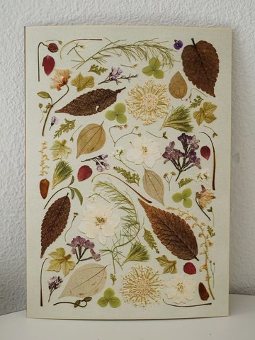 ŽIRAFA【酂白】中國宮廷服飾配色押花作品藝術微噴畫裝飾畫芯