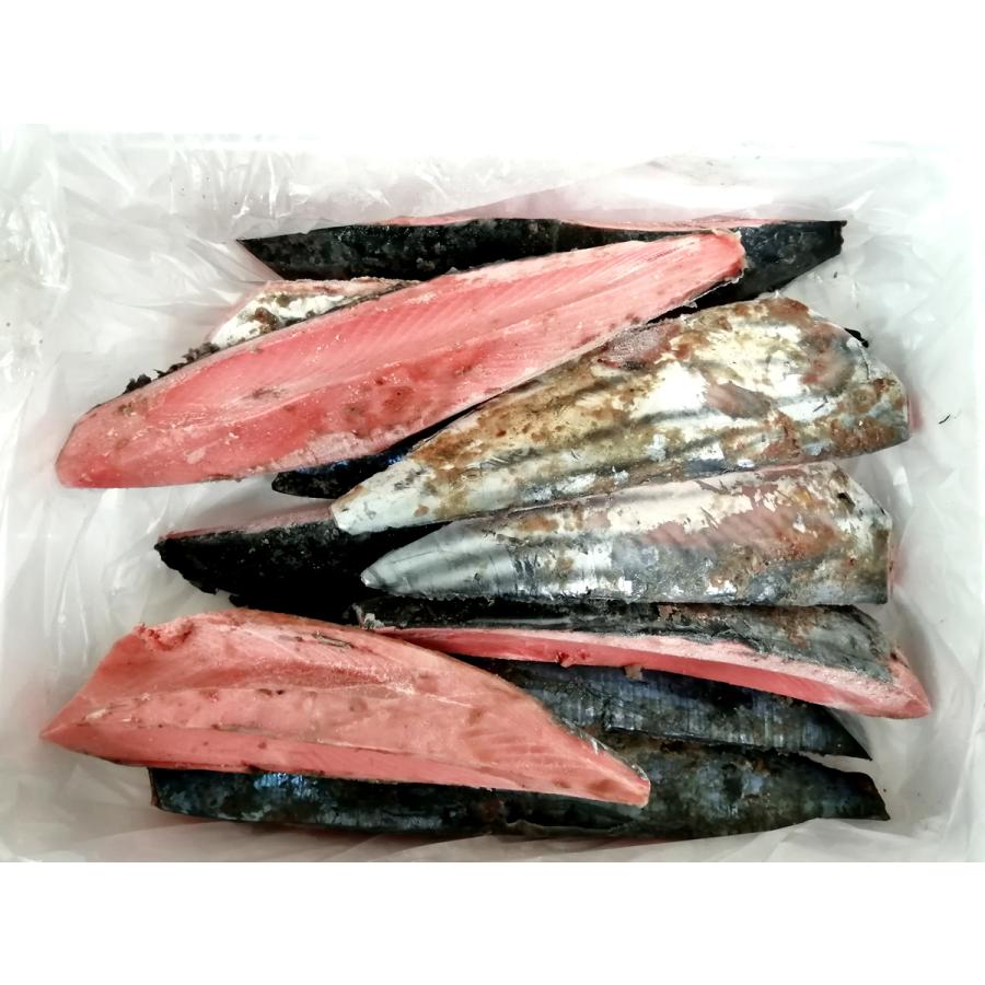 東沖2.5上 一本釣り とろかつお 皮付き 3kg 約10本 お刺身 お寿司 かつお カツオ 鰹 かつおたたき トロカツオ