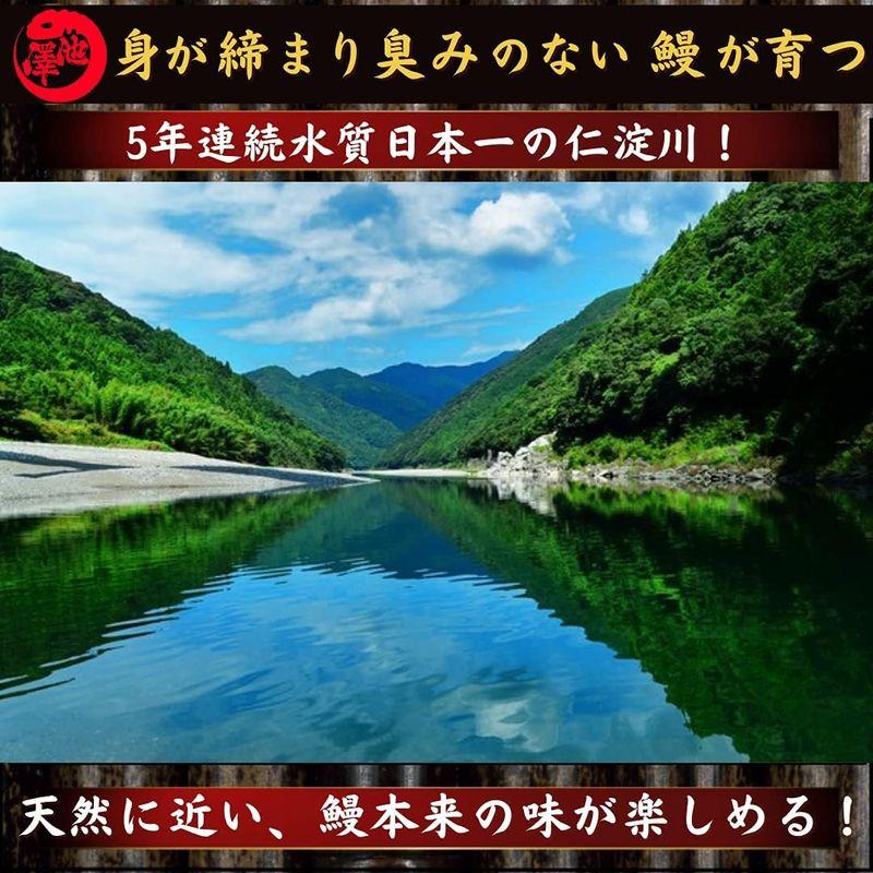 高知県産 うなぎ 無投薬 蒲焼き 約140g×2尾 仁淀川 国産 池澤鮮魚 (ご自宅用エコ包装)