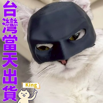 【台灣出貨】蝙蝠俠貓面具 貓頭套 蝙蝠 蝙蝠俠面具 貓咪面具 面具 寵物面具 蝙蝠俠貓咪面具 搞笑面具 蝙蝠俠半臉面具