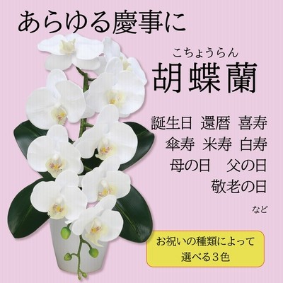 喜寿 お祝い 花の通販 2 299件の検索結果 Lineショッピング