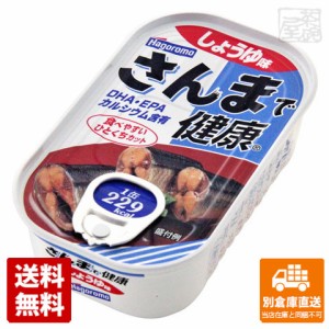 はごろも さんまで健康 しょうゆ味 100g x10個 