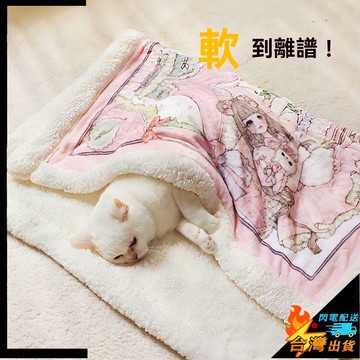 【台灣出貨】寵物毛毯 狗毛毯 小狗睡墊 宮廷風貓咪專用小毯子 貓墊 睡覺用 寵物毛毯 貓咪墊子 貓貓蓋毯 狗狗被子 冬