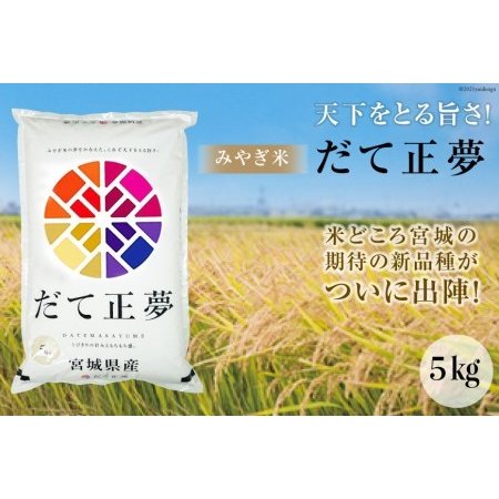 ふるさと納税 みやぎ米「だて正夢」5kg（精米） [菊武商店 宮城県 気仙沼市 20562209]  宮城県気仙沼市