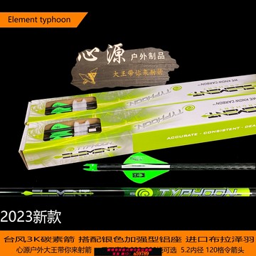 【全網低價 可打統編】臺風3K純碳箭12支裝覆合滑輪弓反曲直拉弓箭戶外競技比賽射箭箭支