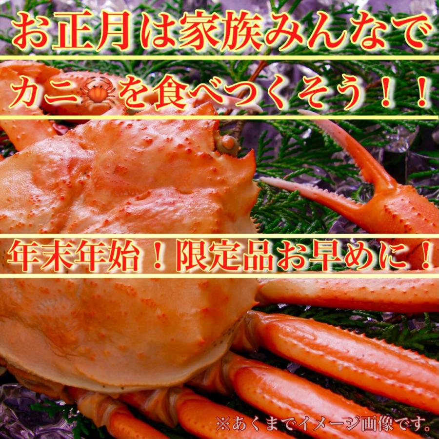 ＜年末年始限定＞特大５Ｌ生ズワイ蟹カニ 1KG ハーフポーション　刺身、焼き蟹カニ、蟹鍋カニ鍋最適