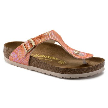 BIRKENSTOCK 勃肯 / Gizeh / 橘色 / 合成皮