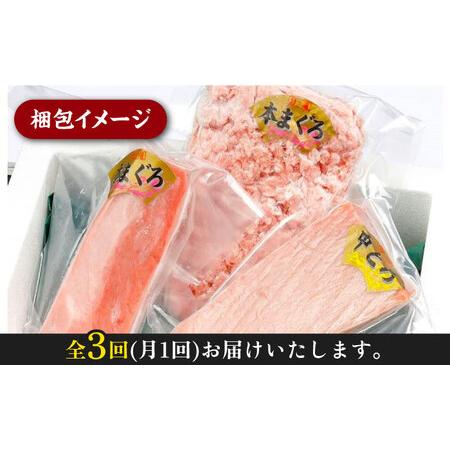 ふるさと納税 対馬産 養殖 本マグロ 3種×各1パック 赤身   中トロ   ネギトロ )《対馬市》 新鮮 マグロ 鮪 本鮪 .. 長崎県対馬市