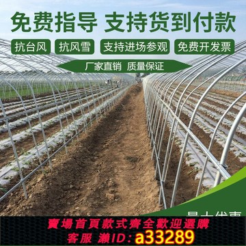 {可打統編 超低價}大棚鋼管骨架養殖溫室種植暖棚橢圓管連身大棚花卉蔬菜熱浸鍍鋅全套