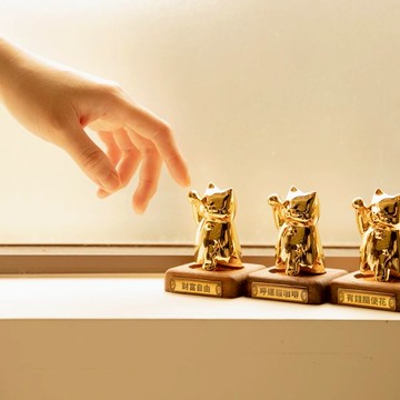 呼運貓｜單隻成貓組 - 金色-財富自由