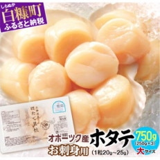 オホーツク産 刺身用ホタテ玉冷大  750g(250g×3) 大サイズ