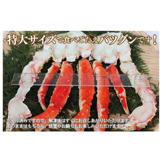 ふるさと納税 大阪府 泉佐野市 ボイルタラバガニ 1.2kg 特大 5Lサイズ カット済み