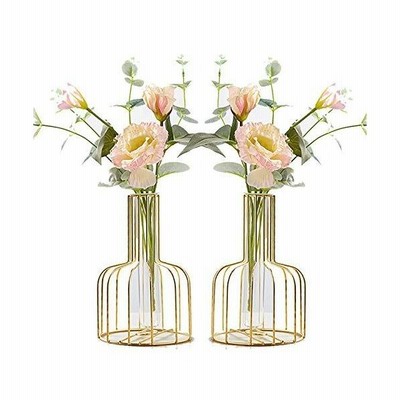 Miumiupop 水耕栽培花瓶 2個入 金属枠 透明 ガラス花瓶 テラリウム容器 試験管花瓶 植物ポット フラワーベース 通販 Lineポイント最大get Lineショッピング