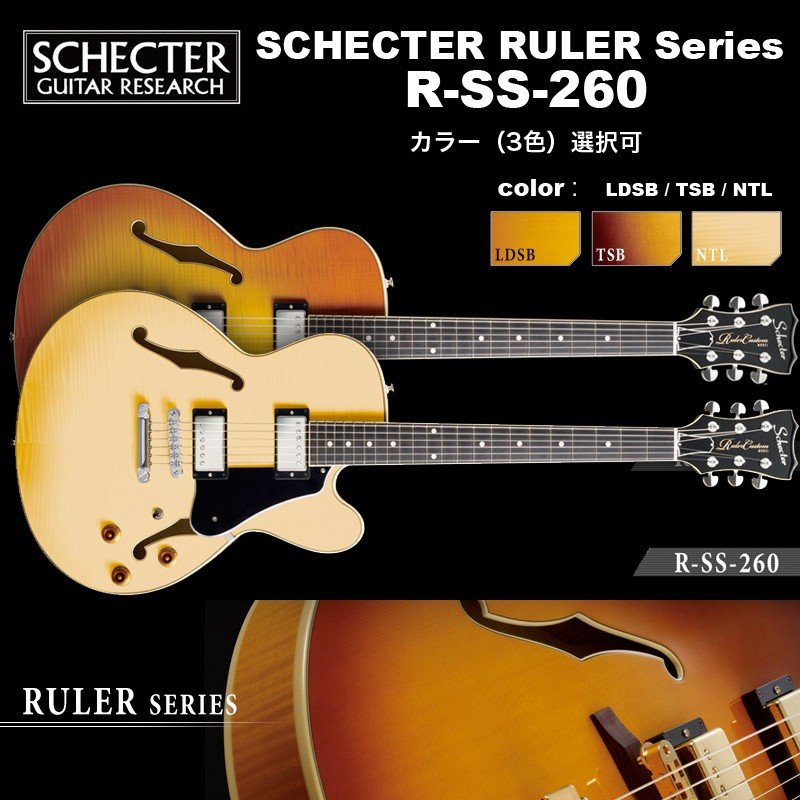 SCHECTER セミアコースティックギター宜しくお願い致します - ギター