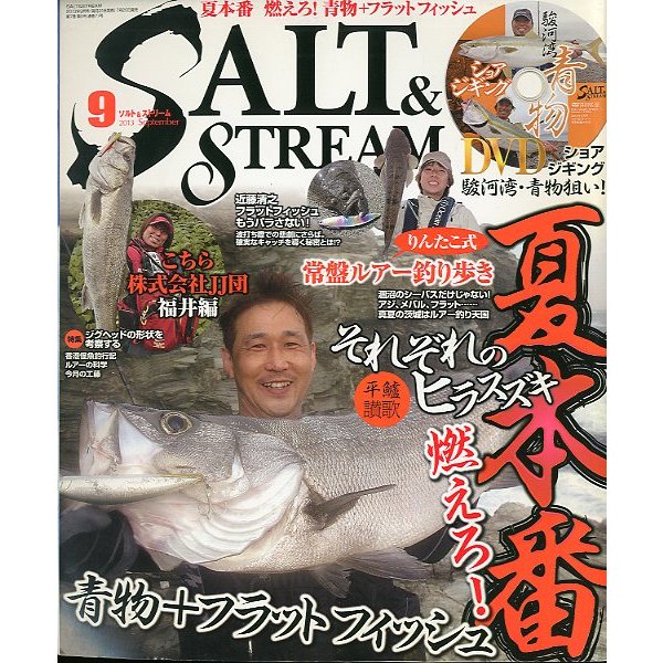 SALTSTREAM（ソルト＆ストリーム）　２０１３年９月号　　＜送料無料＞