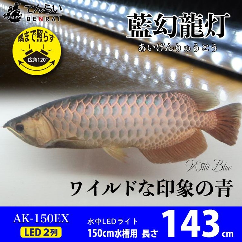 アロワナ ライト 金龍 過背金 150cm水槽用 藍幻龍灯 ワイルドブルー EX LED 2列 水中 照明 水中蛍光灯 AK150-EX AK-EX  送料無料 でんらい | LINEブランドカタログ