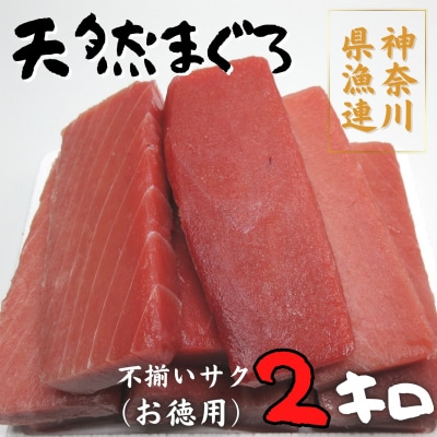 神奈川県漁連　天然マグロ 2kg　不揃いサク