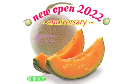  北海道 上富良野産 最上等級“ 秀品 赤肉メロン ” 糖度14度 以上（1.6kg～1.99kg）×2玉 メロン めろん デザート フルーツ 果物