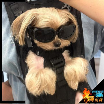 【台灣出貨】狗狗眼鏡 寵物墨鏡 寵物護目鏡 柯基 邊牧 金毛 防風太陽鏡 泰迪 犬游泳鏡 狗狗墨鏡 寵物眼鏡