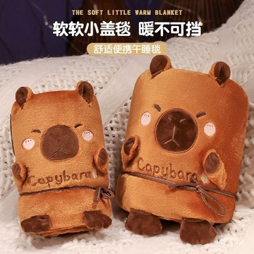 💕臺灣出貨💕卡通毯子卡皮巴拉水豚辦公室午睡空調被子毛毯蓋腿捲毯學生午休 JK8E