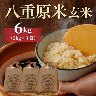 八重原米 玄米 6kg (2kg×3袋)