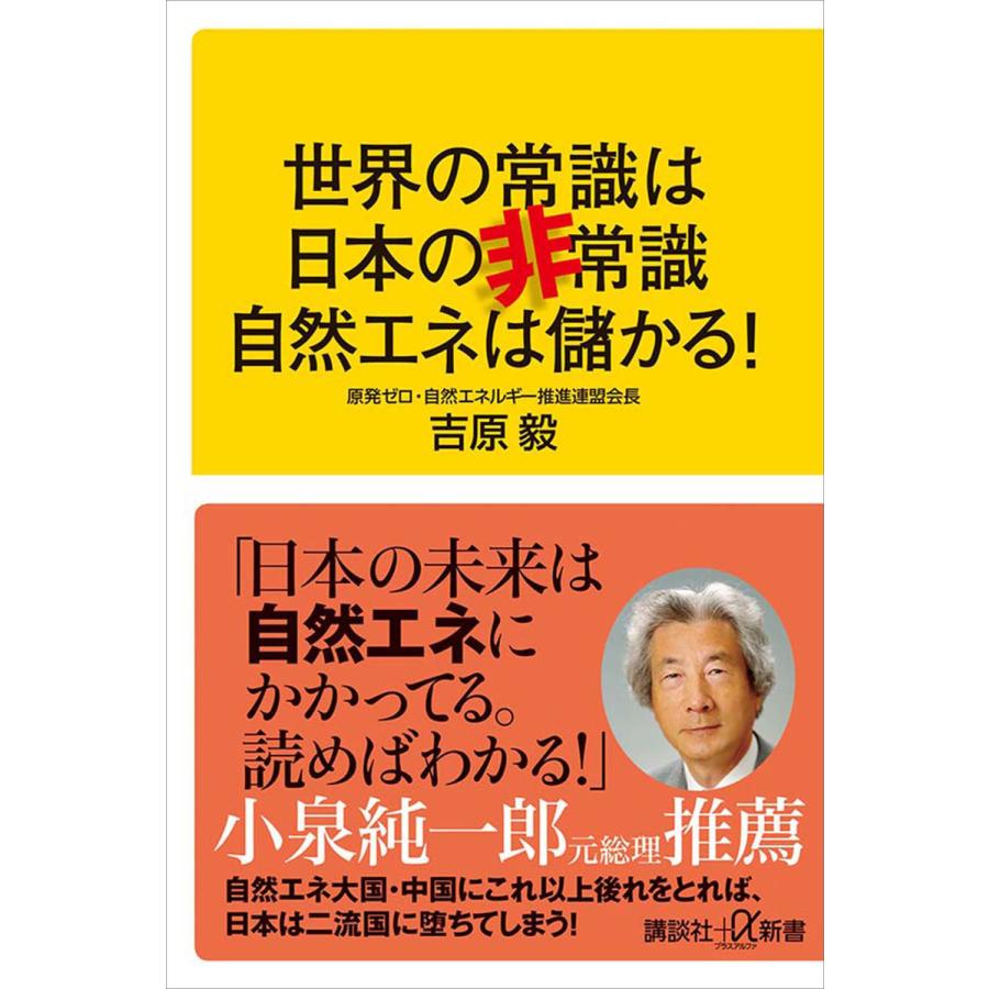 講談社 世界の常識は日本の非常識自然エネは儲かる