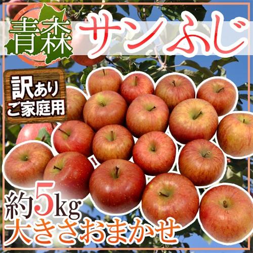 りんご 青森産 ”サンふじりんご” 訳あり 約5kg 大きさおまかせ 送料無料