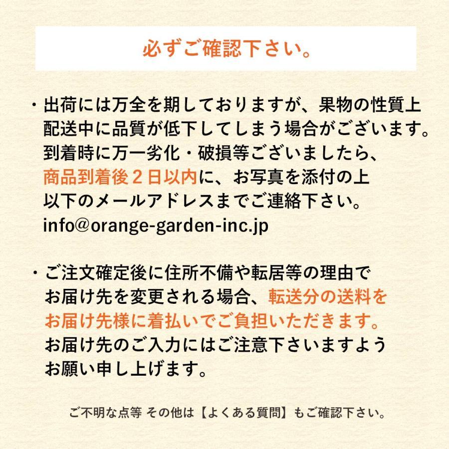 みかん 紅まどんな 同品種 訳あり ご家庭用 4kg 甘い 愛媛 西宇和地区 八幡浜市産 010105000408