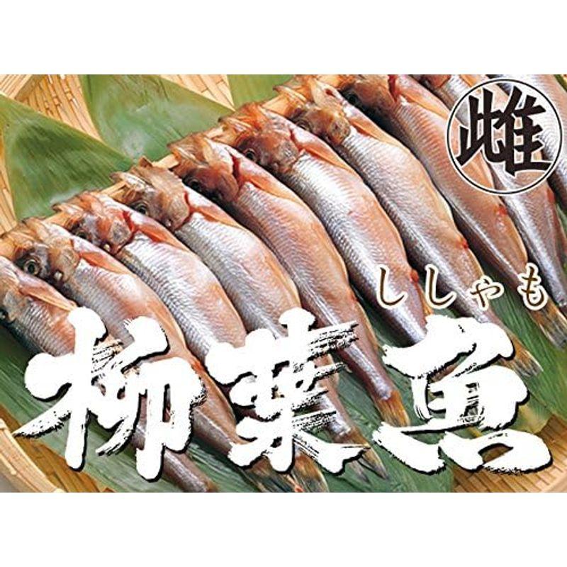 本ししゃもメス 30尾 (北海道産本柳葉魚) 卵を抱えた雌の子持ちシシャモ 北海道の特産種の本シシャモ (簡単調理) 海鮮ギフト 御中元や御