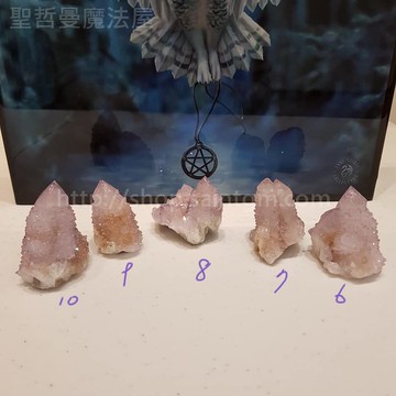 【土桑展精選寶物】仙人掌水晶191203~6-10號(Cactus Quartz) ~南非