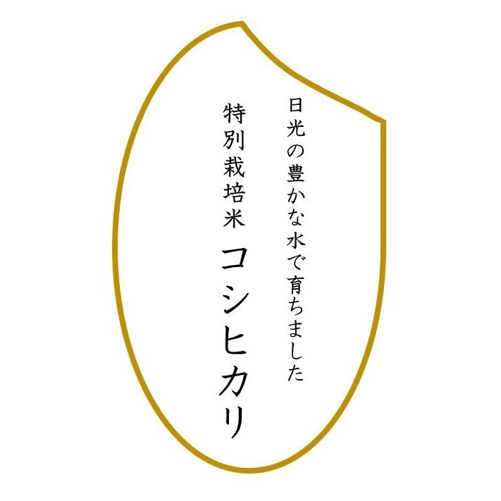 R5年産 特別栽培米 コシヒカリ 玄米 5kg 栃木県産