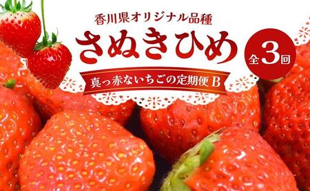 東かがわ市真っ赤な「いちご」の定期便（B）