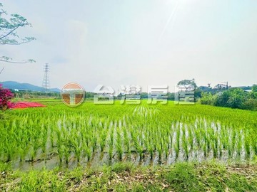 近鶯歌方正平坦農地｜桃園市大溪區大鶯段