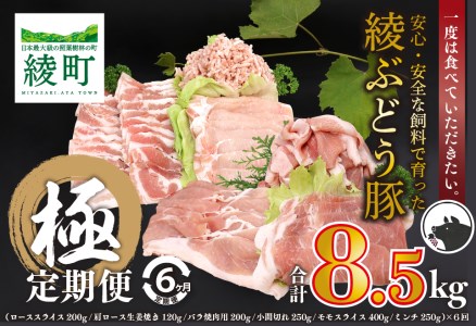 国産 豚肉 ブランド 豚 綾ぶどう豚 よりどり 詰め合わせ 6か月 定期便 セット 指定月 中旬 お届け ロース スライス 生姜焼き バラ 焼肉 小間切れ モモ スライス ミンチ しゃぶしゃぶ(22-37)