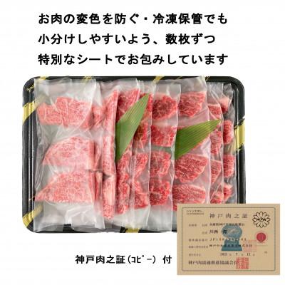 ふるさと納税 神戸市 焼肉おまかせセット 500g(霜降り・赤身・カルビ