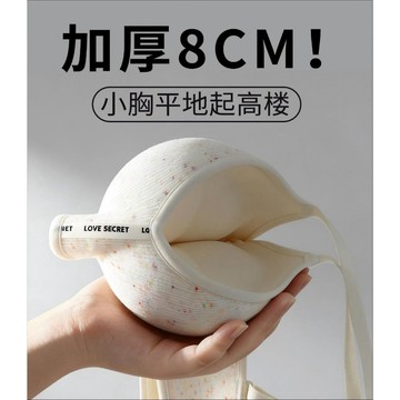 【PIGLET】加厚特厚8cm内衣女 小胸聚攏 顯大内衣 升CUP！ 無鋼圈内衣 收副乳上托防下垂文胸内衣 調整型文胸罩