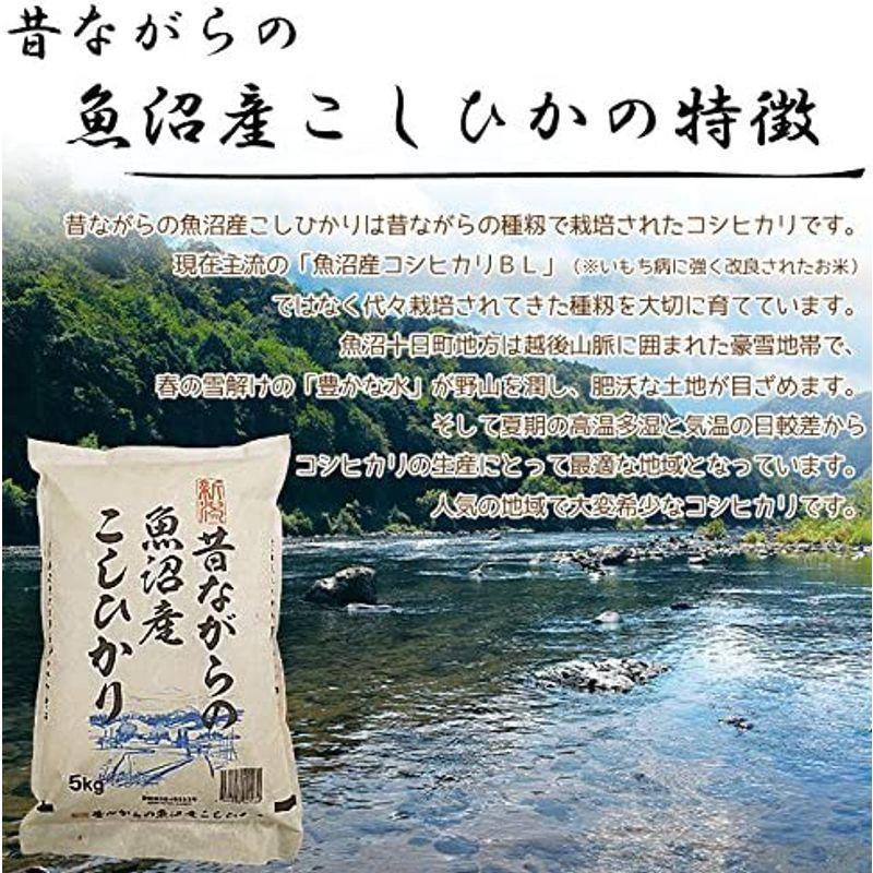 精米 昔ながらの魚沼産こしひかり 白米 5kg×2 令和4年産(10kg)