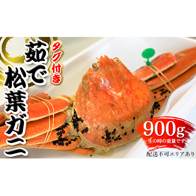 松葉ガニ 茹で タグ付き 900g up《2023年11月10日以降順次発送》[ 蟹 かに カニ 松葉蟹 国産 冷蔵