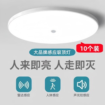 【廠家直銷 可打統編】【10個裝】聲光控雷達感應吸頂燈過道樓梯走廊中性光紅外感應燈