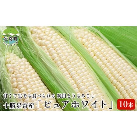 ふるさと納税 生でもがぶり絶品純白とうもろこし「ピュアホワイト」10本 北海道足寄町