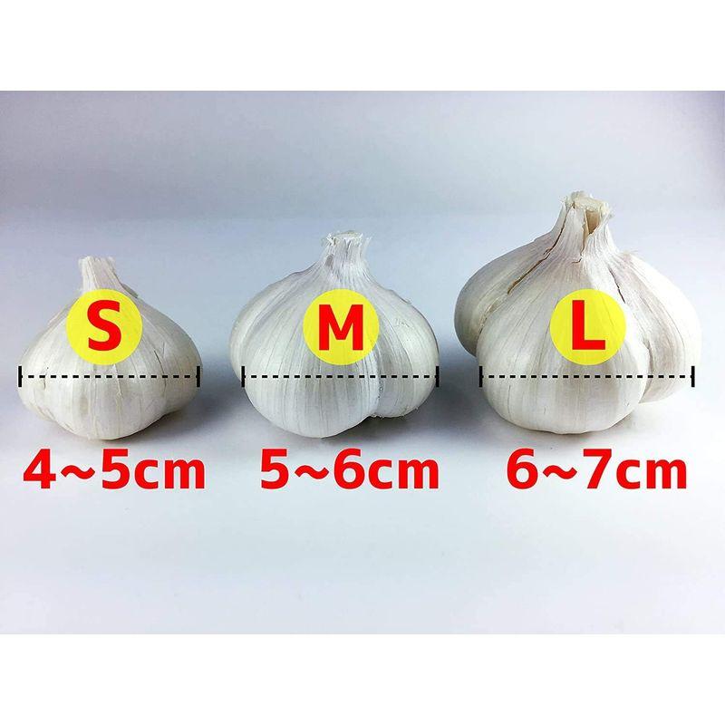 青森県産 にんにく 1kg Mサイズ以上混合 福地ホワイト6片